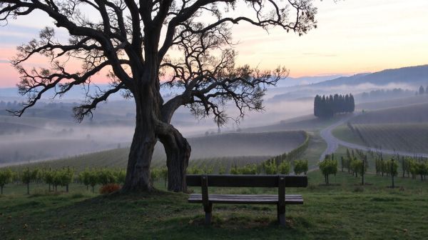 Top conseils pour sélectionner un thérapeute en Nouvelle Aquitaine
