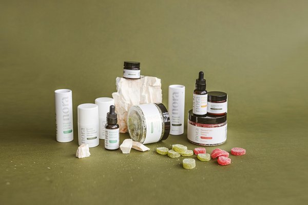 Bud company : l'innovation au service des boutiques CBD